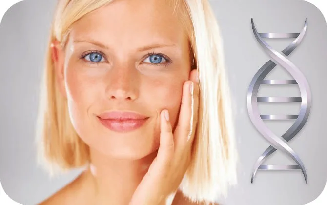 Synevra UltraLift Skin Support Formula